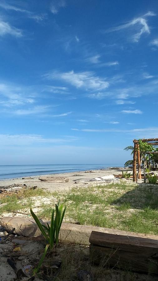 Urantia Beach Hostel & Camping San Onofre Kültér fotó
