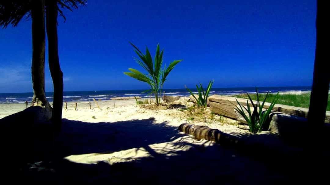 Urantia Beach Hostel & Camping San Onofre Kültér fotó